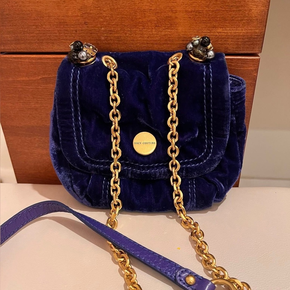 Juicy Couture velvet bag